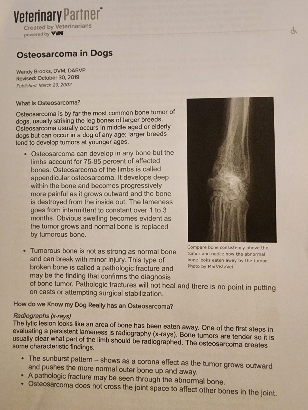 Osteosarcoma – Vok