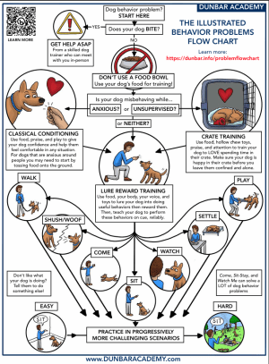 Free Behavior Problems Flow&nbsp;Chart