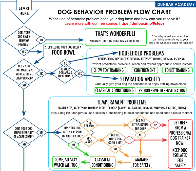 Dog Behavior Problem Flow&nbsp;Chart