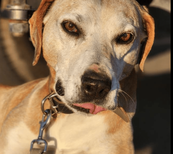 Updates on Vok&nbsp;journey