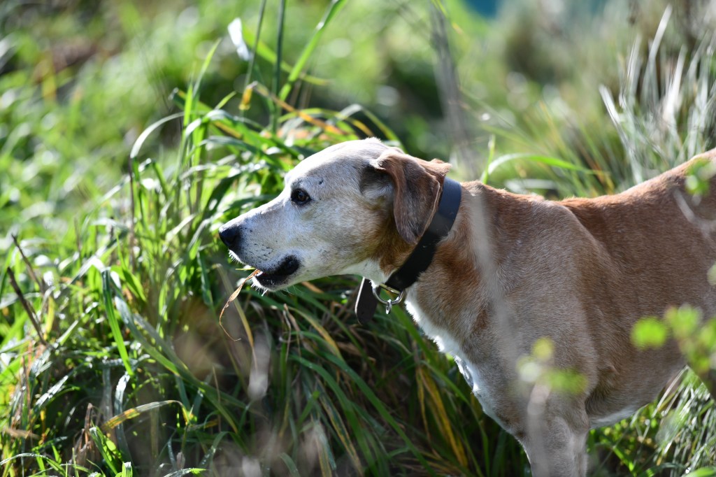 Vok at Neuropark – rehab&nbsp;session