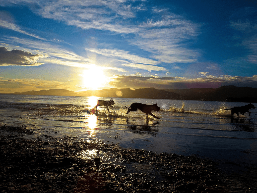 Remembering Jack – Part&nbsp;1