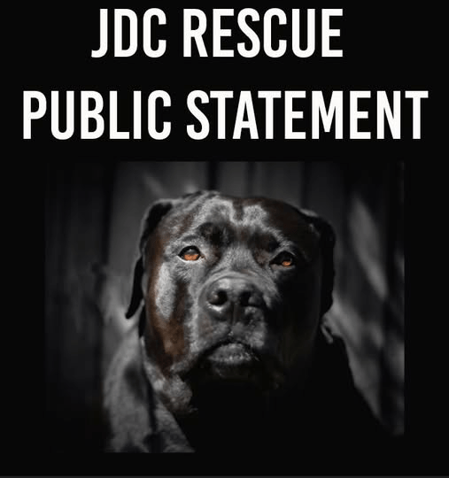 JDC Rescue Public&nbsp;Statement