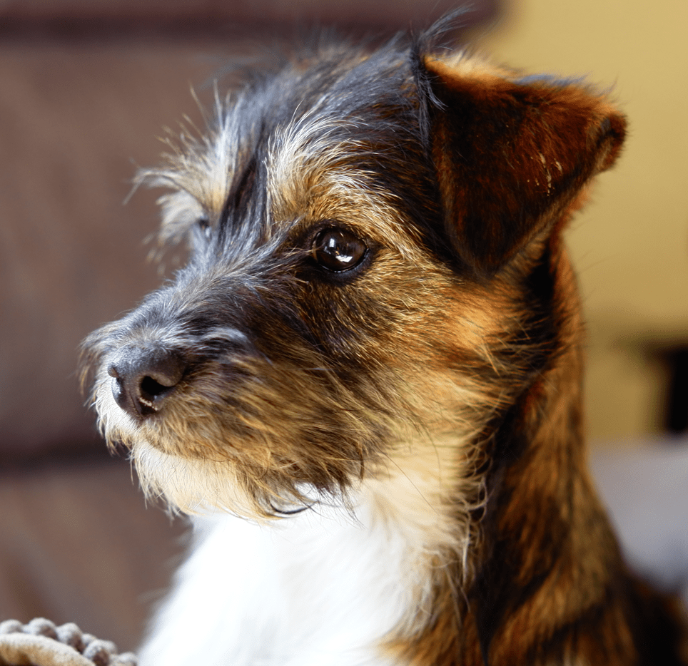 Olivia is on her way&nbsp;home!