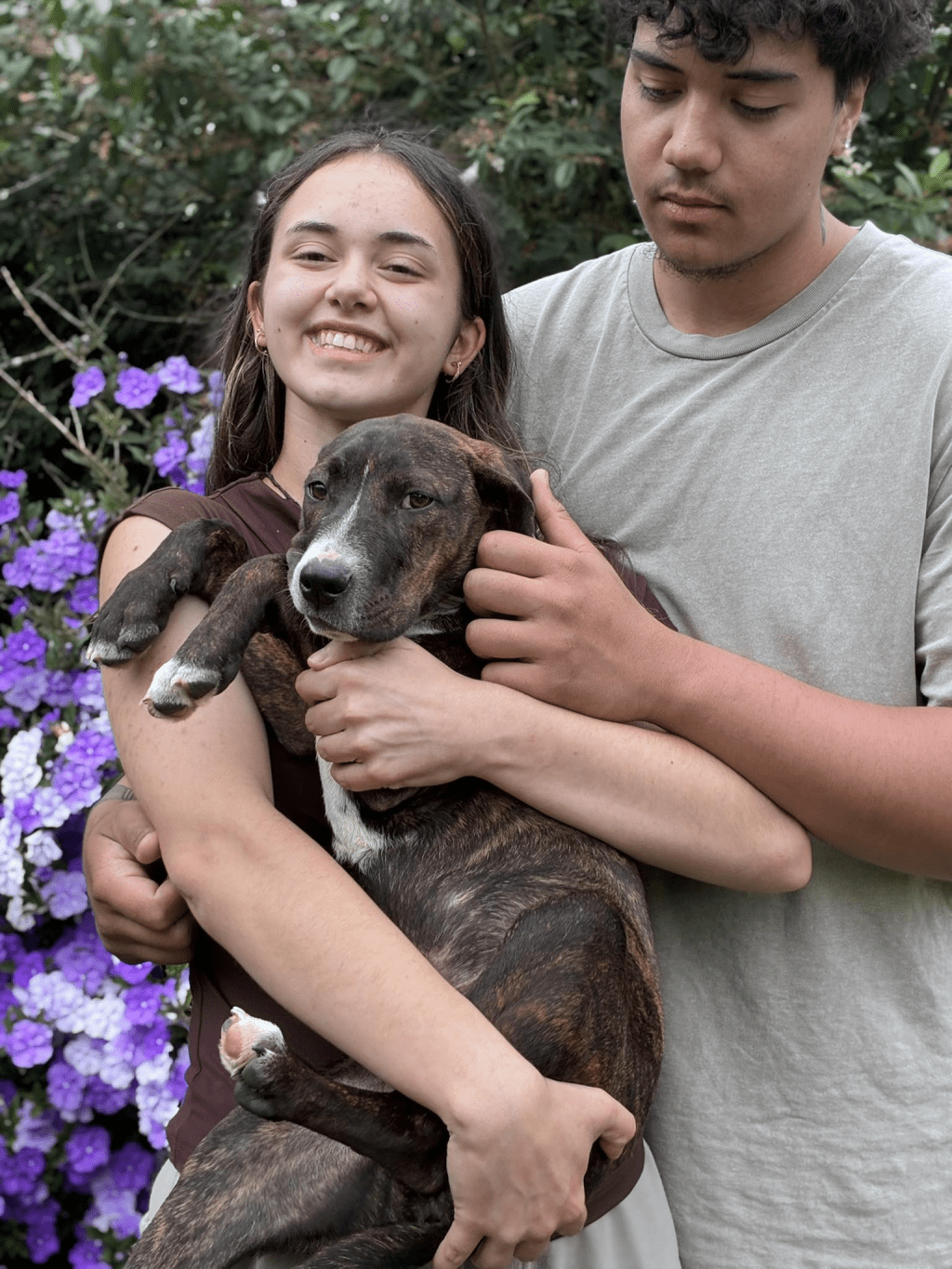 Koru has a great&nbsp;home!!