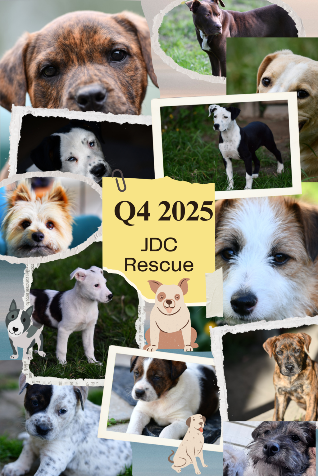 Together, we rescued 83 dogs in just 4&nbsp;months!