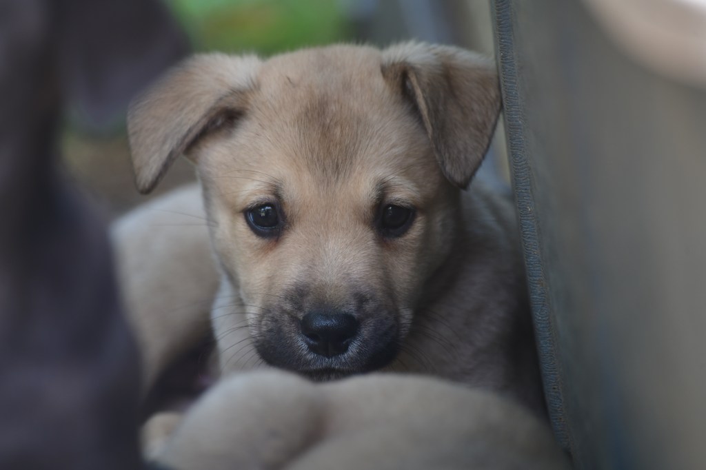 Exciting Changes Ahead