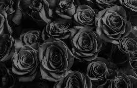 Outbreak Update – Day&nbsp;5