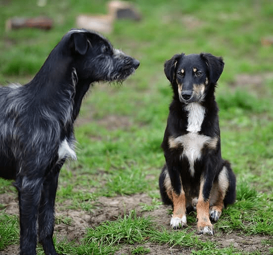 Outbreak Update: Day&nbsp;13