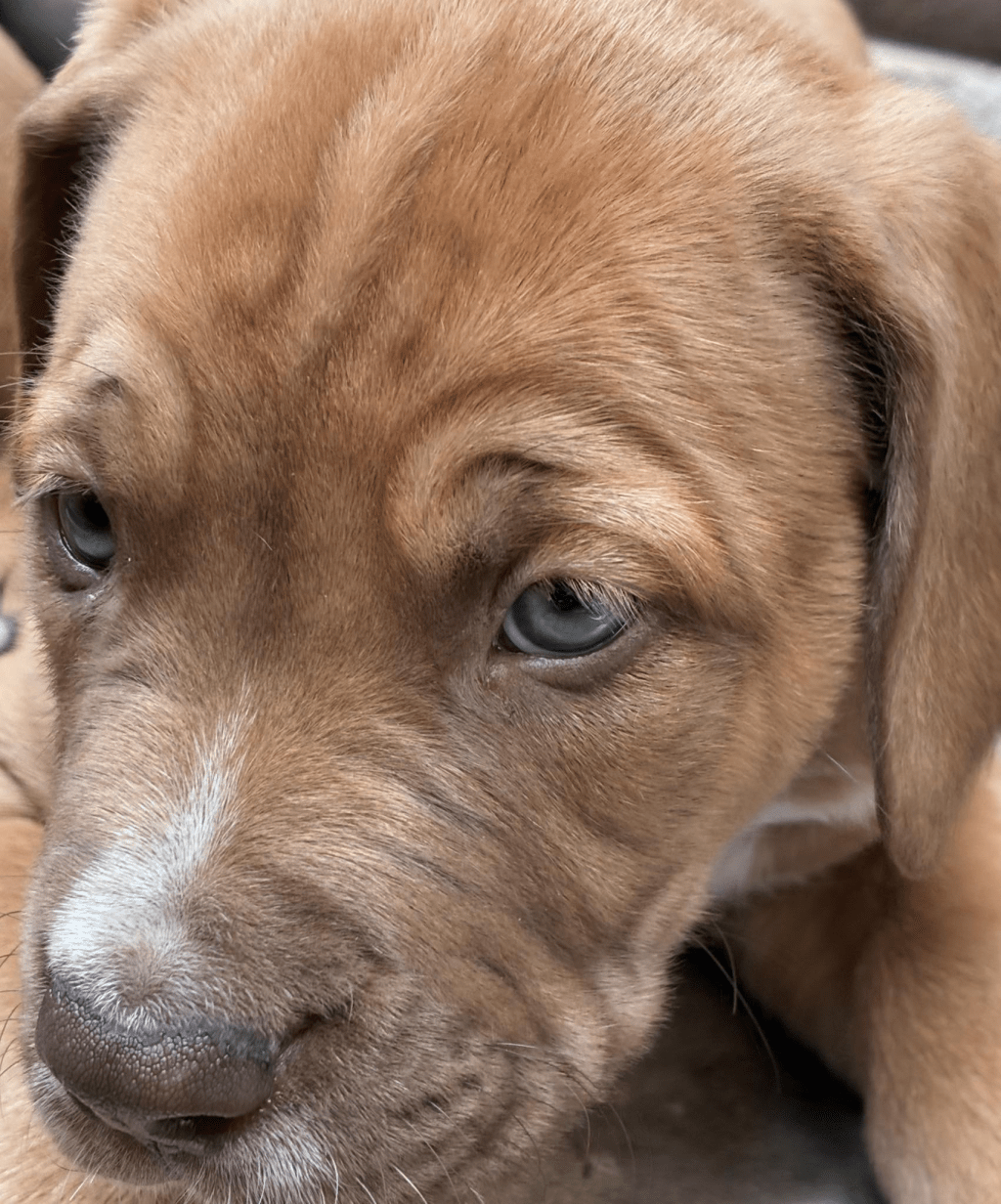 Outbreak Update: Day&nbsp;14