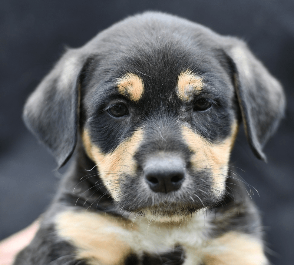 Phattie 7 went&nbsp;home!