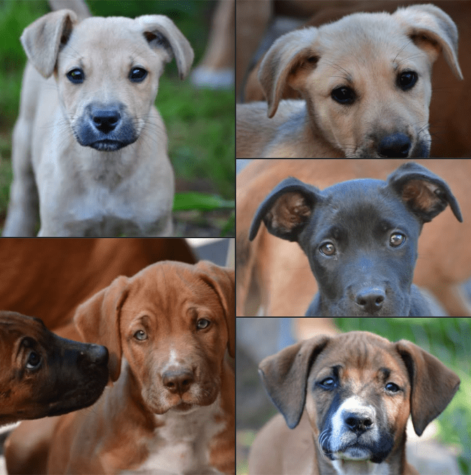 The Fantastic Crew of&nbsp;Nine