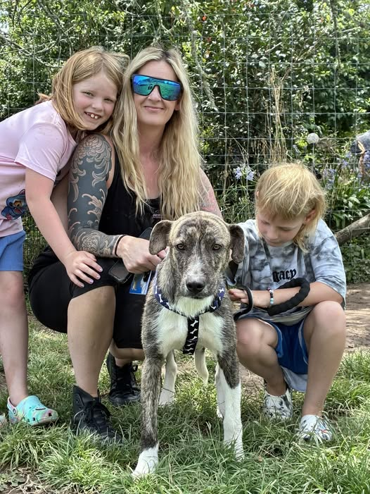 Silver found his beautiful&nbsp;family!
