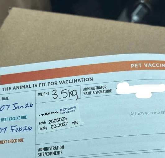 Mystery Behind Disposed Parvo Samples: Merck’s&nbsp;Silence