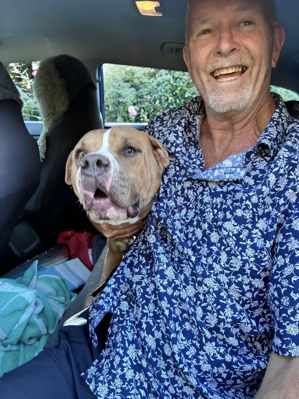 Bash found his family in less than 24h!