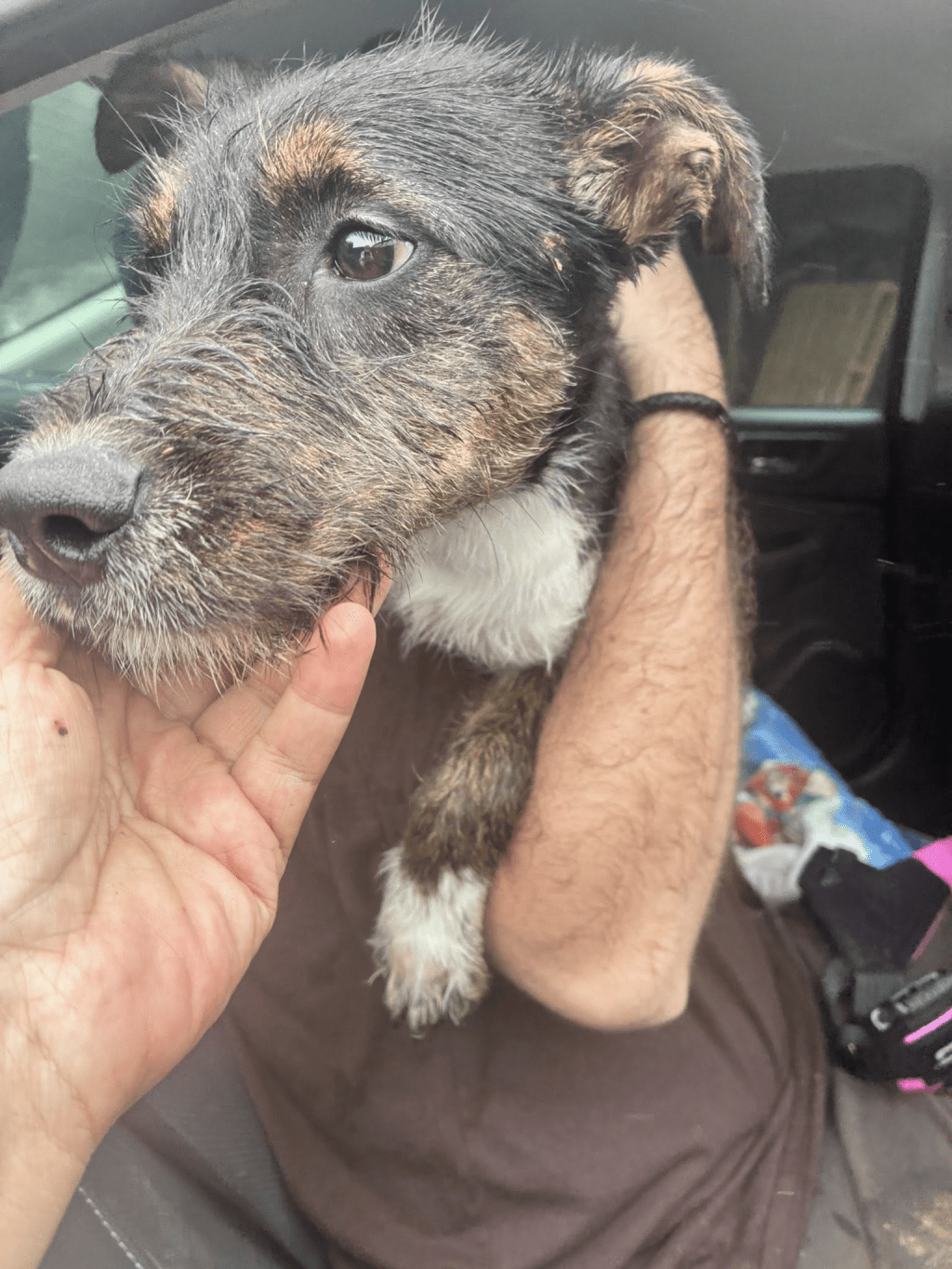 Phattie found her fantastic&nbsp;family!