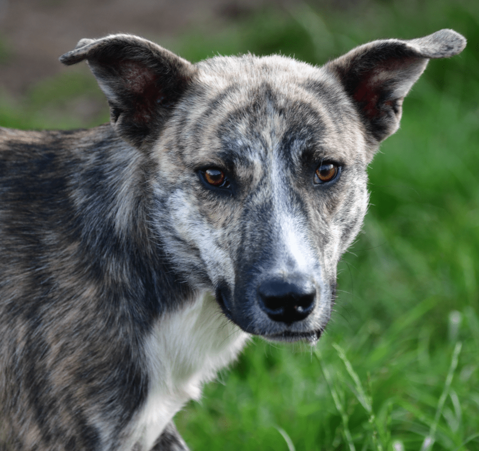 Mr. Magic found an amazing family!